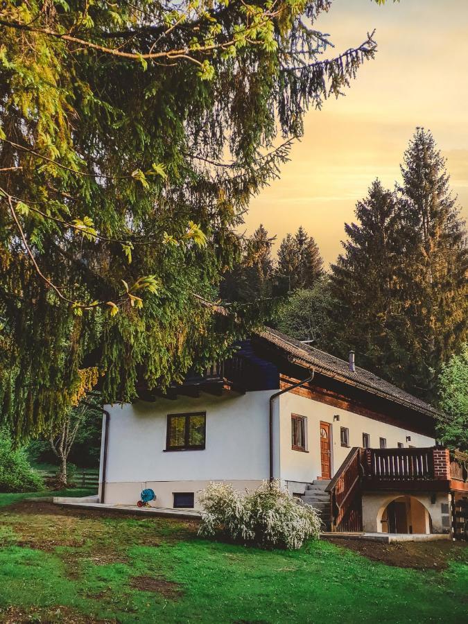 Apartament Ferienhaus Mooshuben Mariazell Zewnętrze zdjęcie